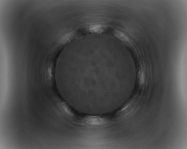 X0000087330424200704201131