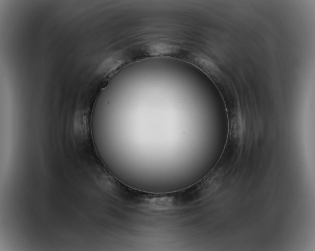 X0000087330426200704201131