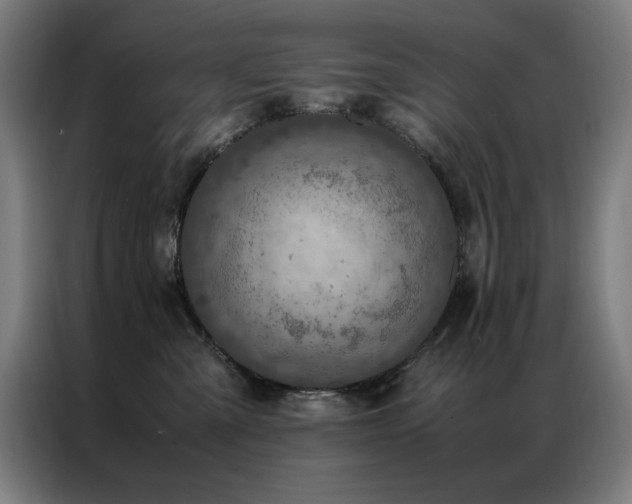 X0000087330427200704201131