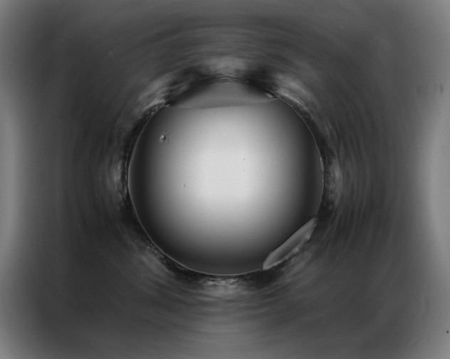 X0000087330428200704201131