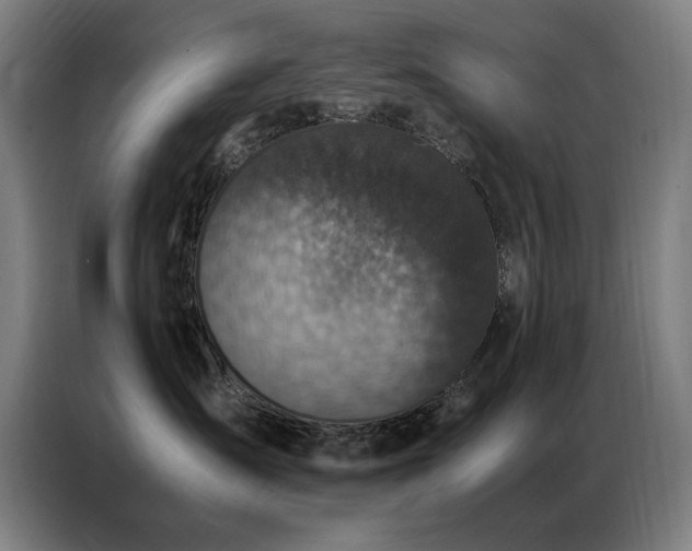 X0000087330431200704201131