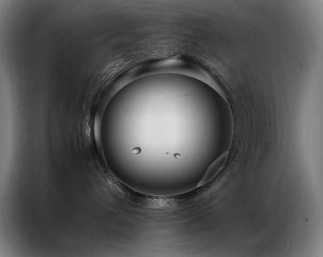 X0000087330432200704201131
