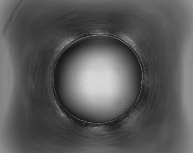 X0000087330433200704201130