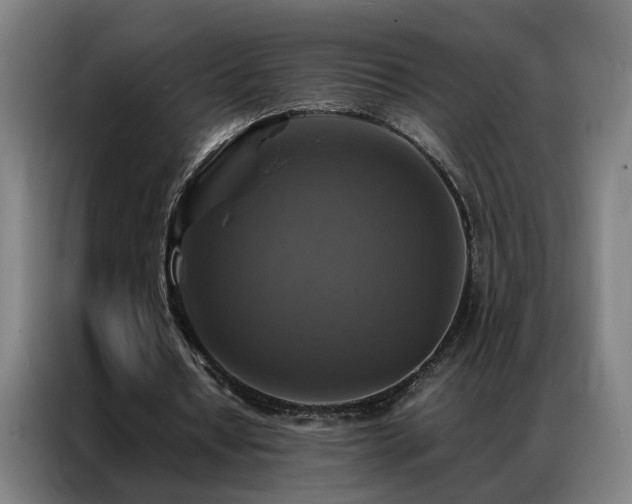 X0000087330434200704201130