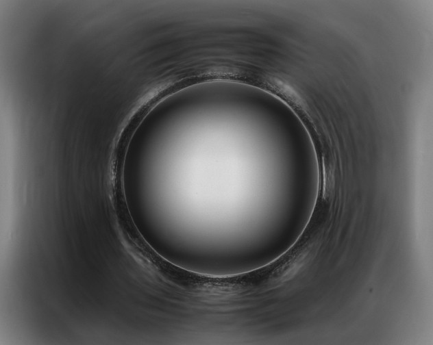 X0000087330435200704201130