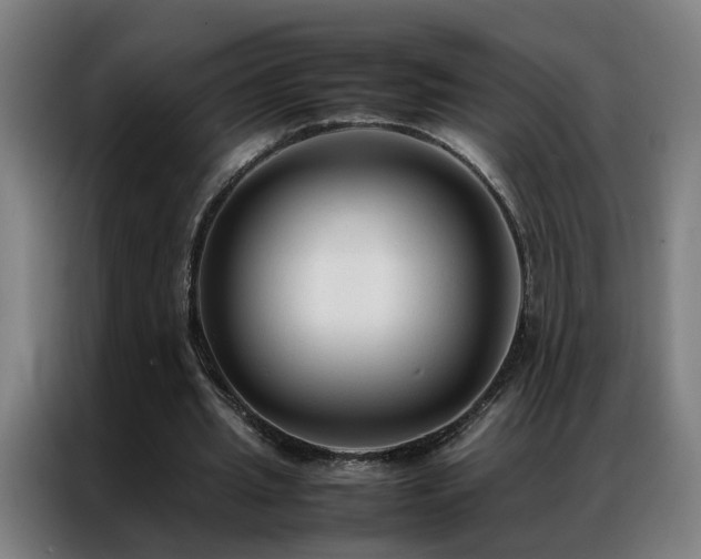 X0000087330437200704201130