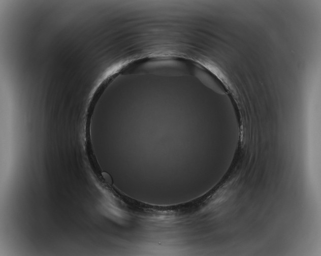 X0000087330438200704201130