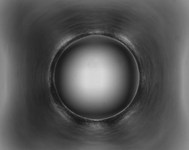 X0000087330439200704201130