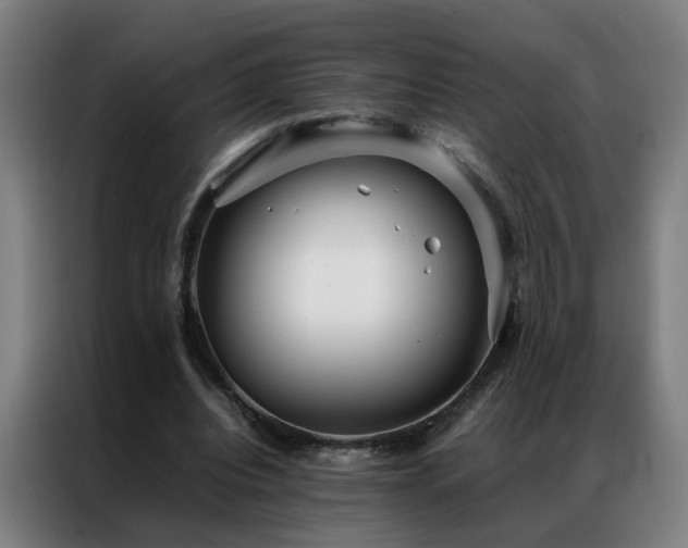 X0000087330440200704201131