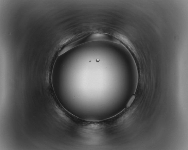 X0000087330441200704201131