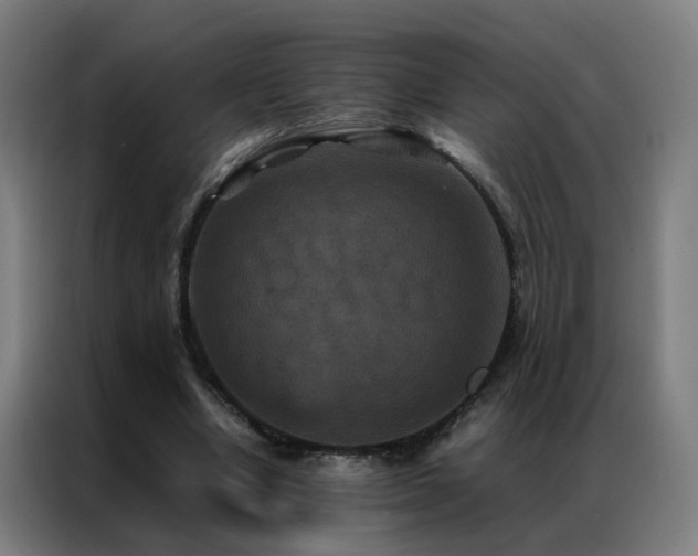 X0000087330442200704201131