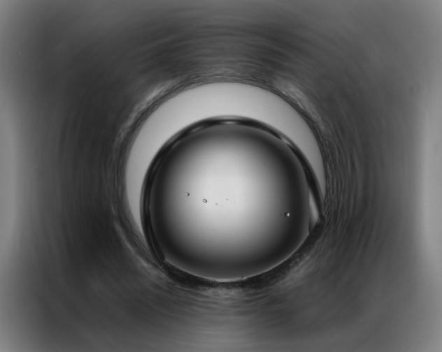 X0000087330444200704201131