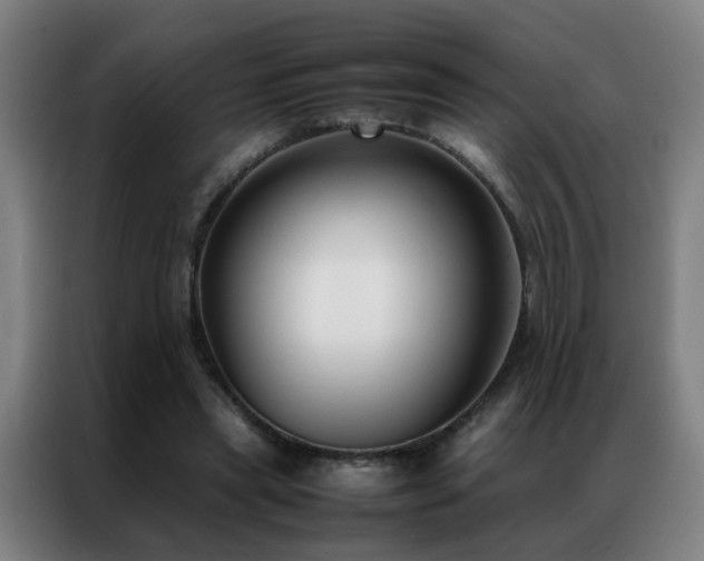 X0000087330445200704201131