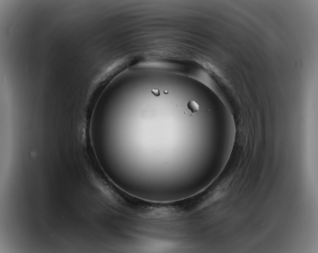 X0000087330446200704201131