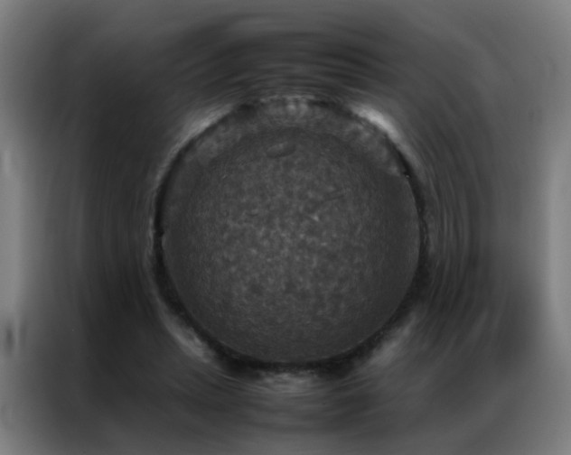 X0000087330447200704201131
