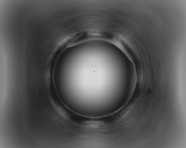 X0000087330448200704201131