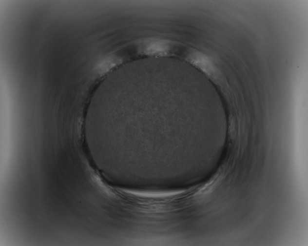 X0000087330449200704201131