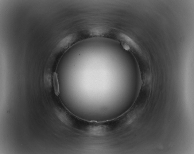 X0000087330452200704201131