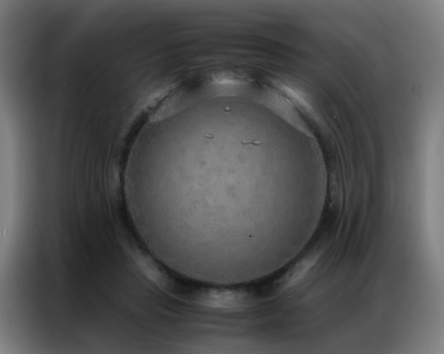 X0000087330453200704201131
