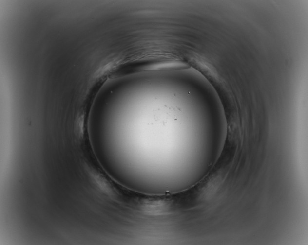 X0000087330454200704201131