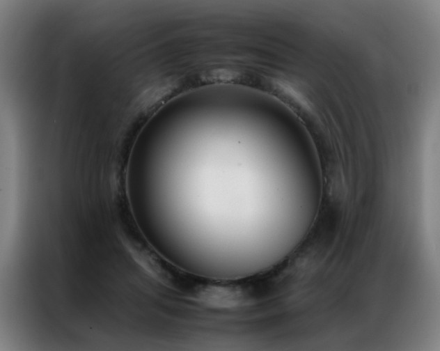X0000087330455200704201131