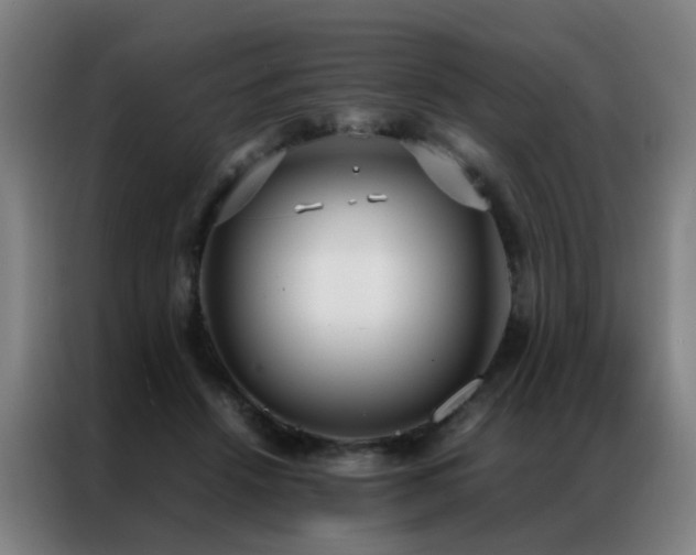 X0000087330456200704201131