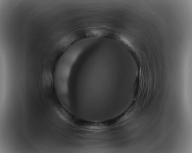 X0000087330459200704201131