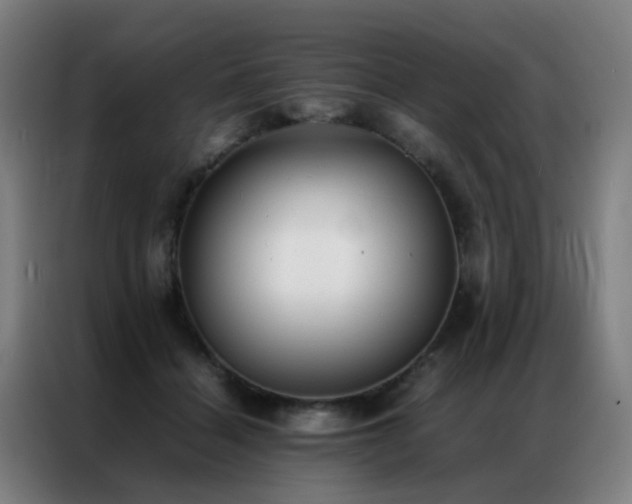 X0000087330460200704201131