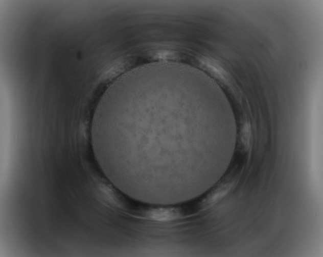 X0000087330461200704201131