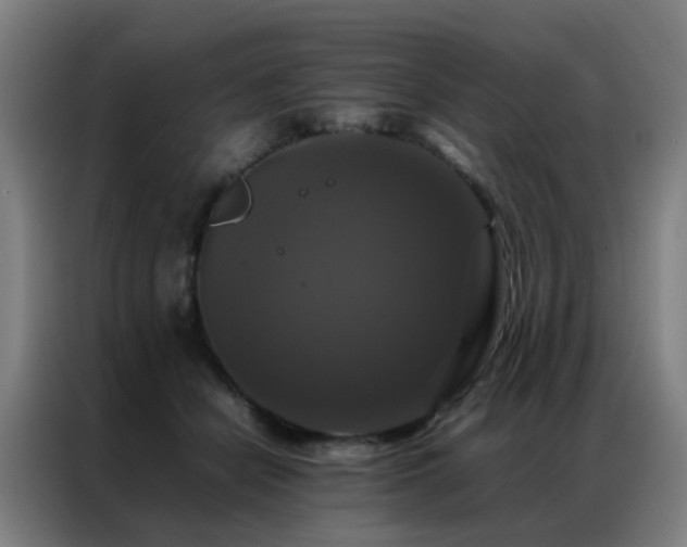 X0000087330462200704201131