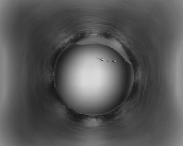 X0000087330464200704201131