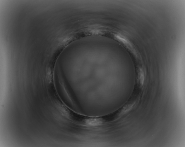 X0000087330465200704201131