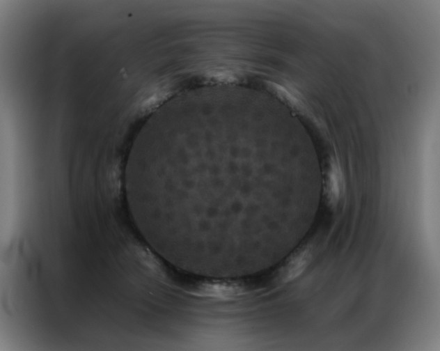 X0000087330466200704201131