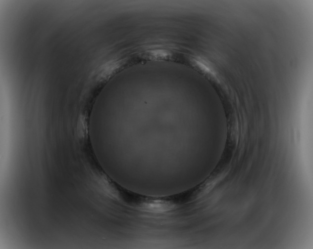 X0000087330467200704201131