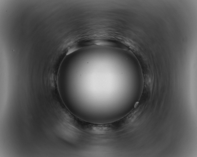 X0000087330470200704201131