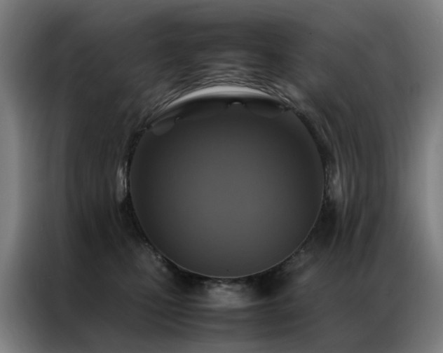 X0000087330471200704201131