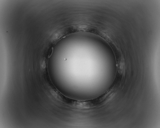 X0000087330472200704201131