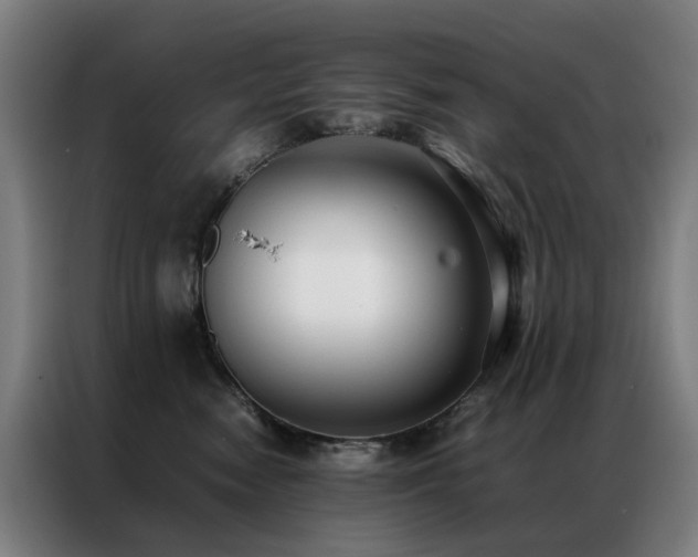 X0000087330474200704201131