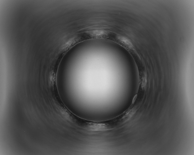 X0000087330476200704201131