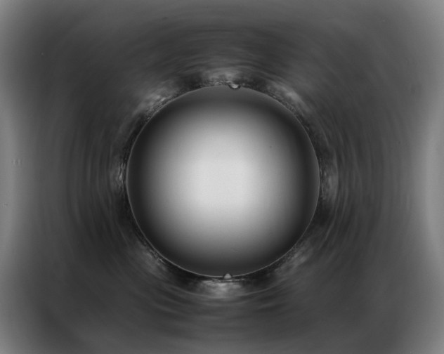 X0000087330477200704201131