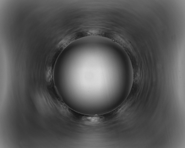 X0000087330478200704201131