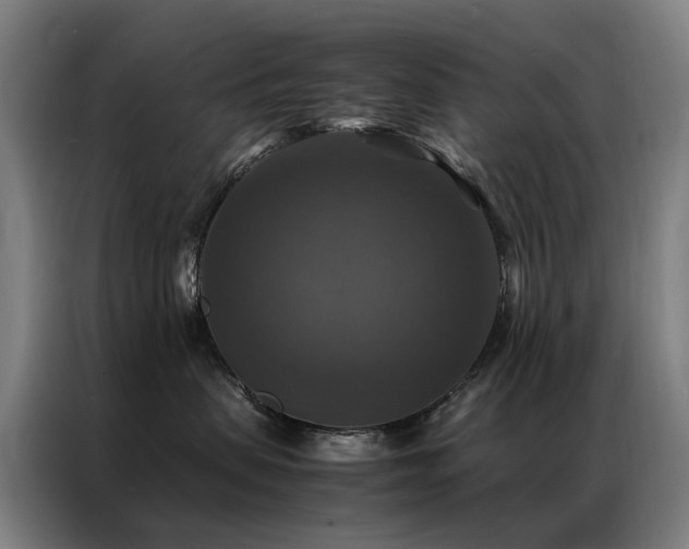 X0000087330479200704201131