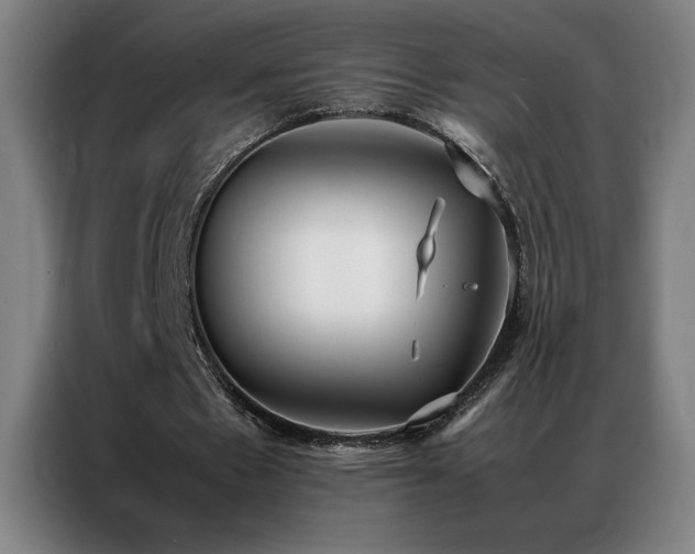 X0000087330481200704201130