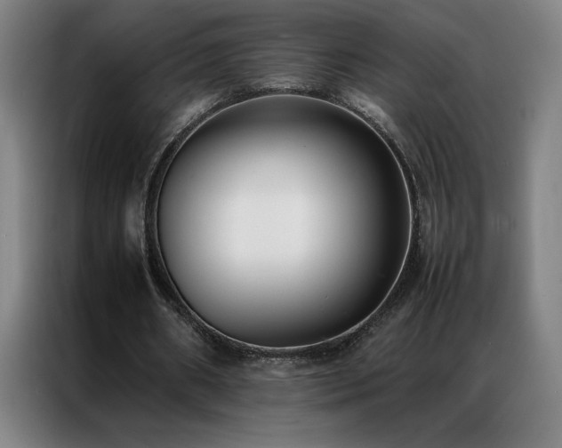 X0000087330482200704201130