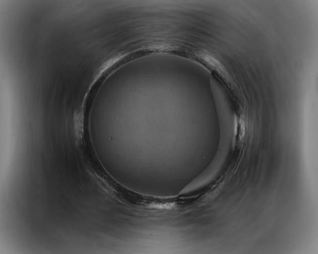 X0000087330484200704201130