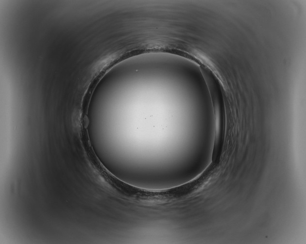 X0000087330485200704201130
