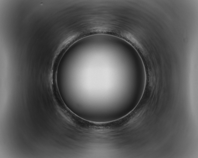 X0000087330486200704201130