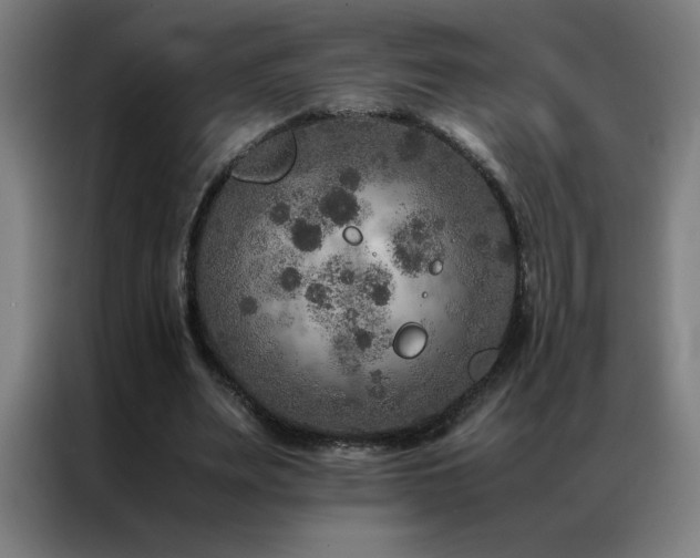 X0000087330487200704201130