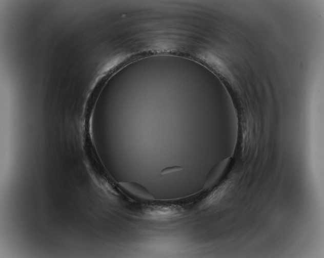 X0000087330488200704201130