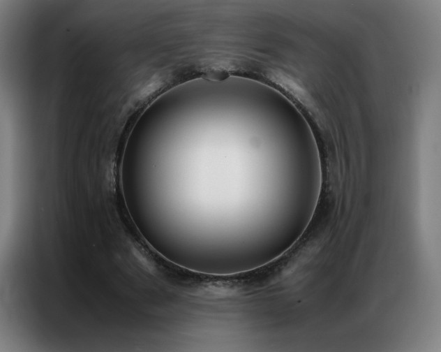 X0000087330489200704201130